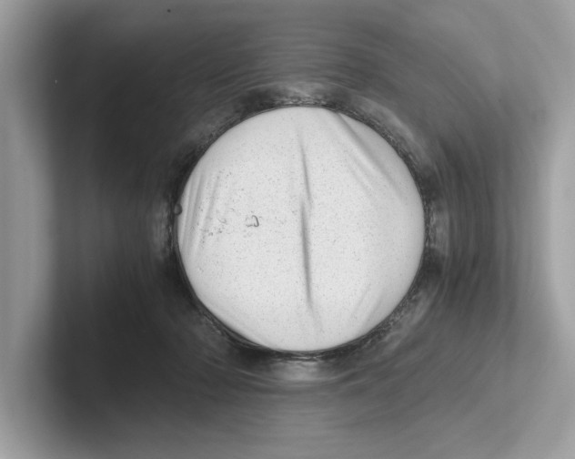 X0000100930318200807221142