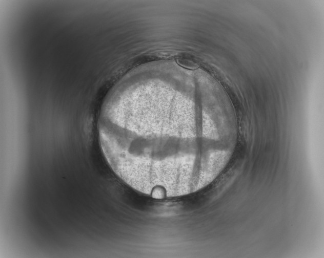 X0000100930319200807221142