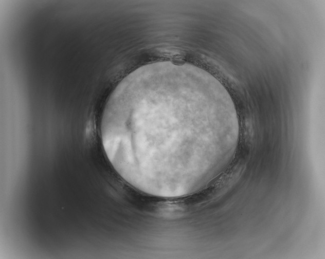 X0000100930320200807221142