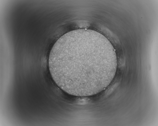 X0000100930321200807221142