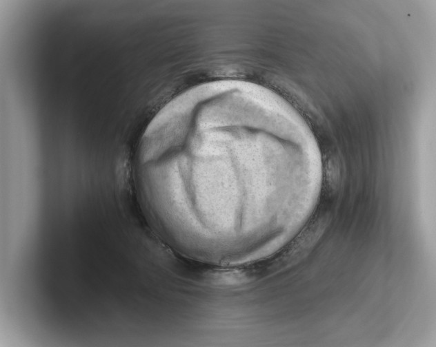 X0000100930322200807221142