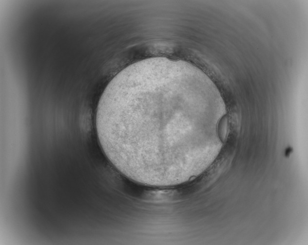 X0000100930323200807221142