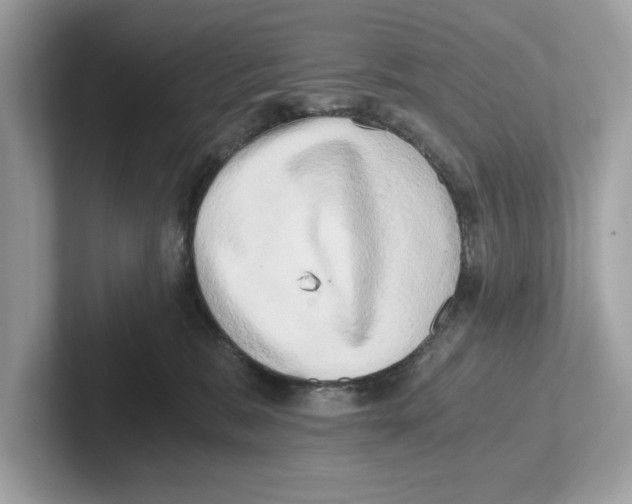 X0000100930327200807221142