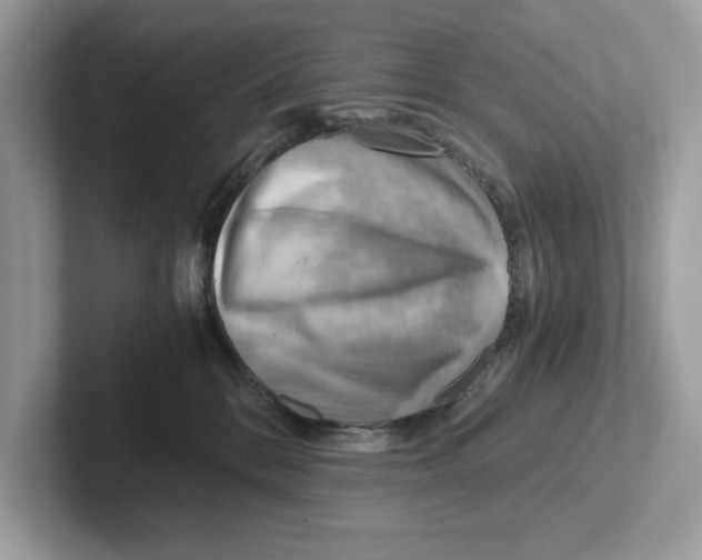 X0000100930328200807221142