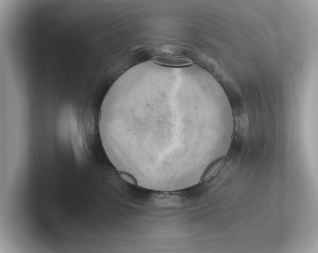 X0000100930331200807221142