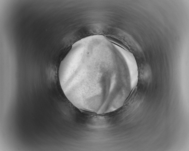 X0000100930332200807221142