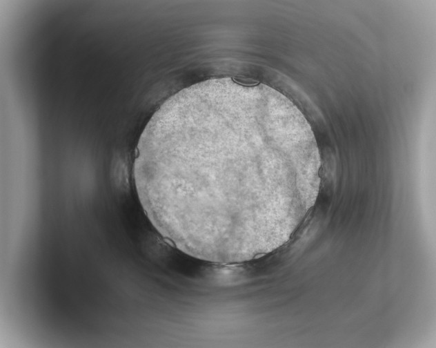 X0000100930333200807221142