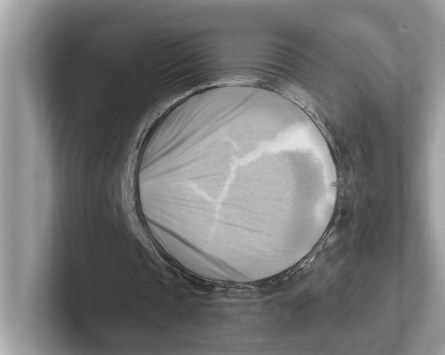 X0000100930337200807221141