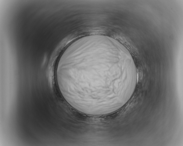 X0000100930339200807221141