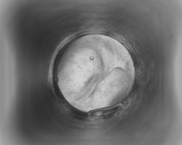 X0000100930340200807221141