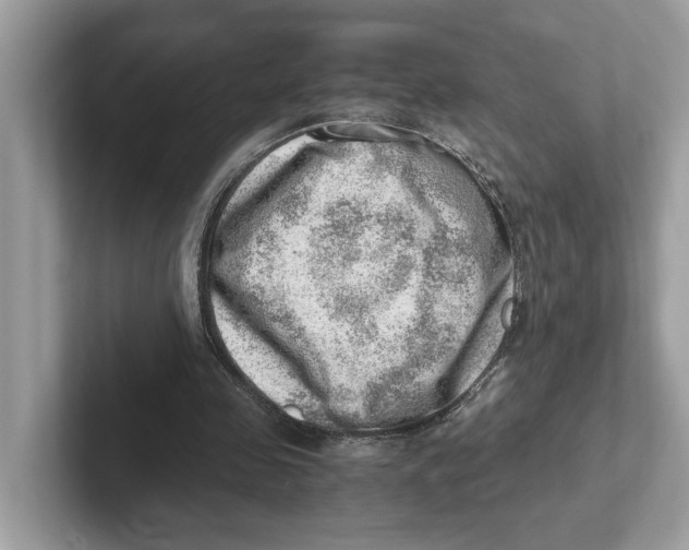 X0000100930341200807221141