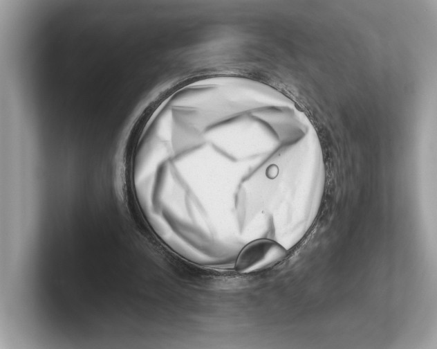 X0000100930342200807221141