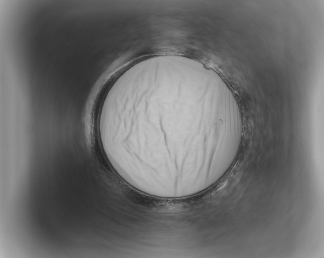 X0000100930343200807221141