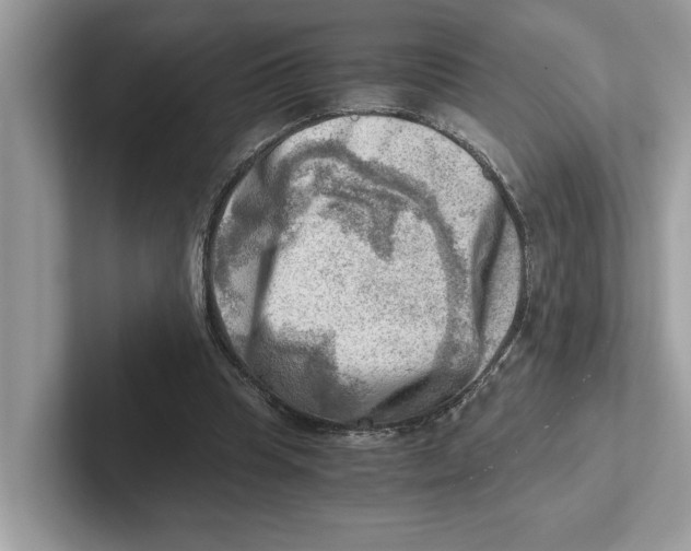 X0000100930345200807221142