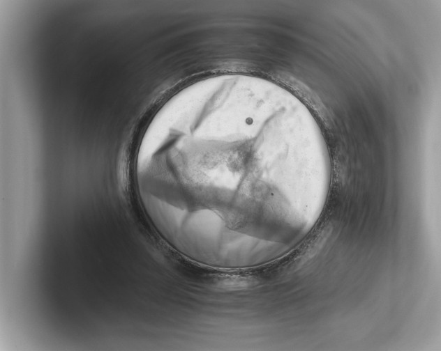 X0000100930347200807221142