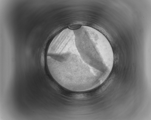 X0000100930349200807221142