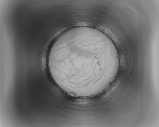 X0000100930351200807221142