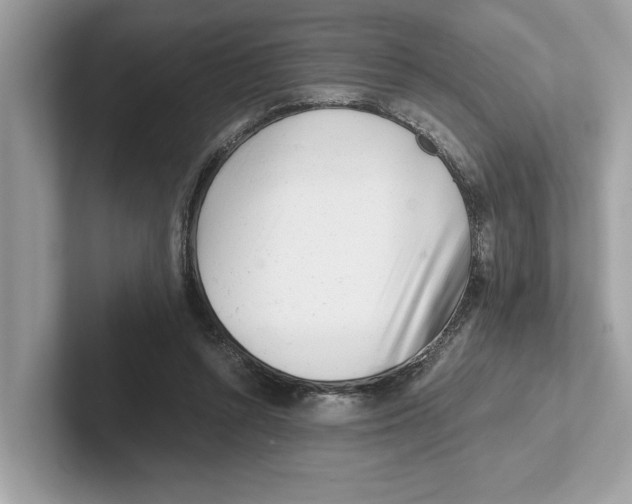 X0000100930352200807221142