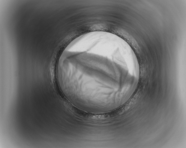 X0000100930353200807221142