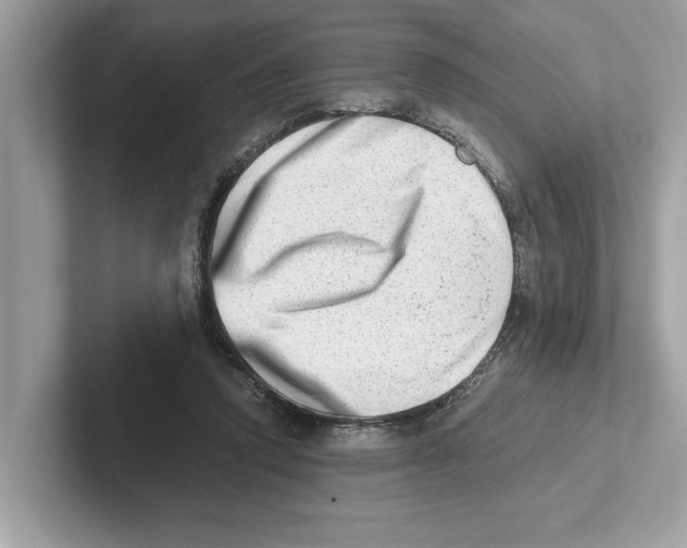 X0000100930354200807221142