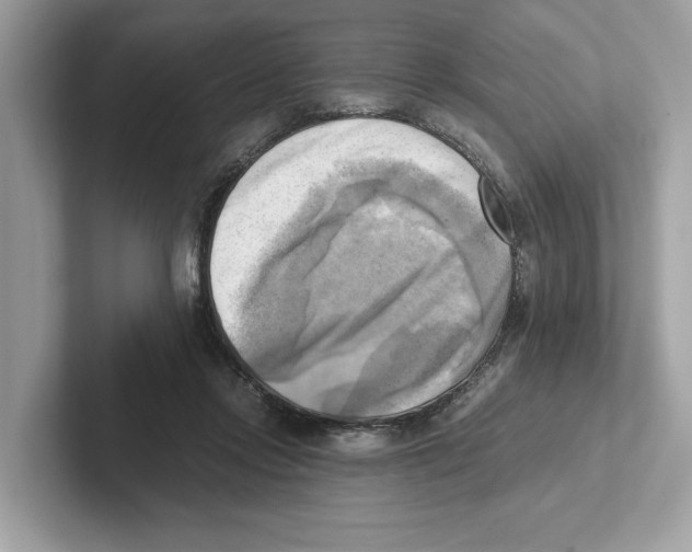 X0000100930358200807221142