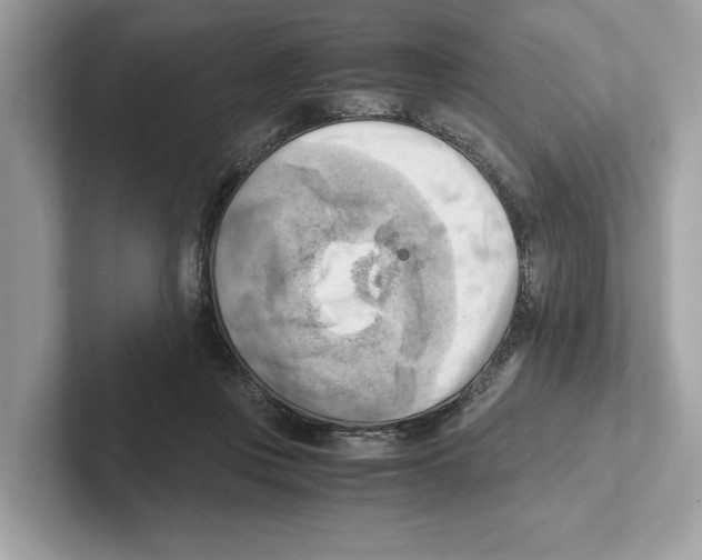 X0000100930359200807221142