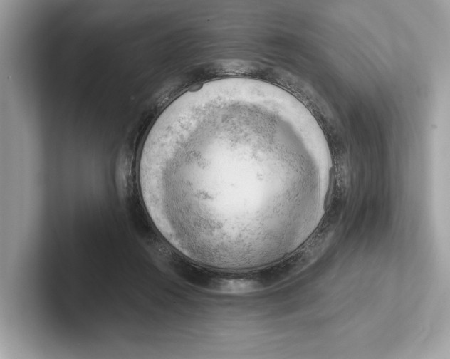 X0000100930360200807221142