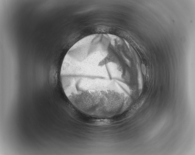 X0000100930363200807221142