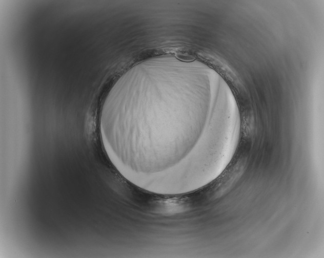 X0000100930365200807221142