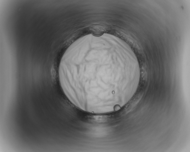 X0000100930371200807221142