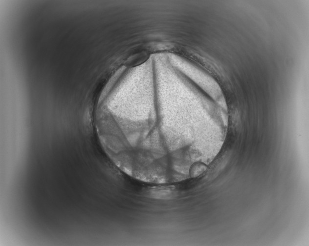 X0000100930373200807221142