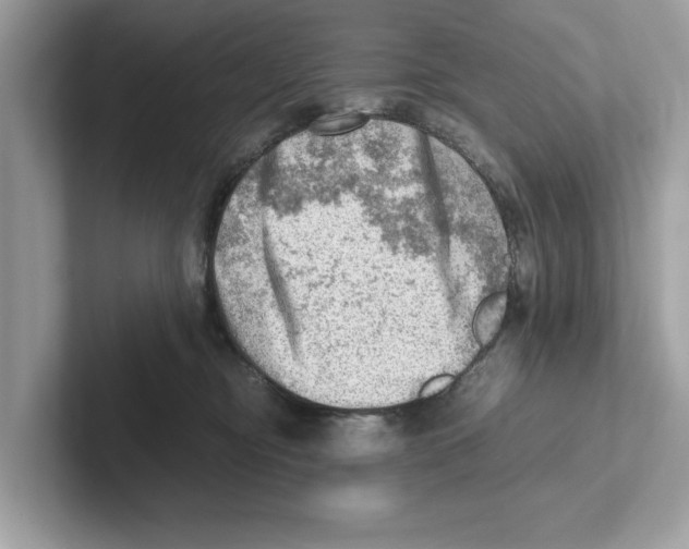 X0000100930374200807221142