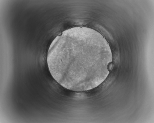 X0000100930376200807221142