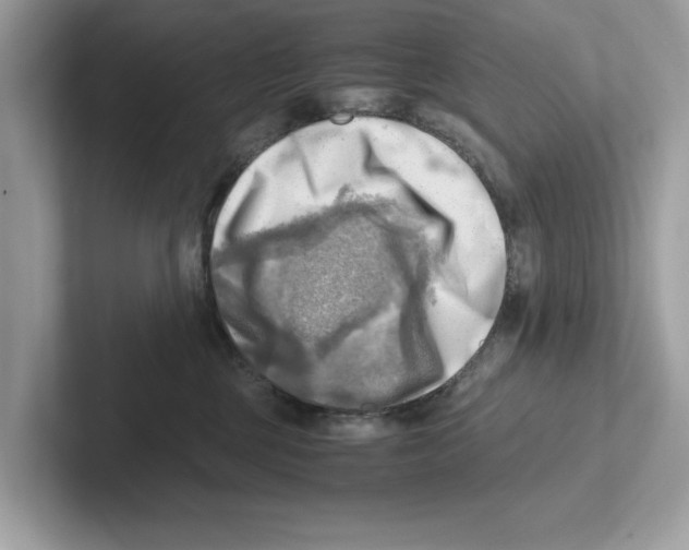 X0000100930377200807221142