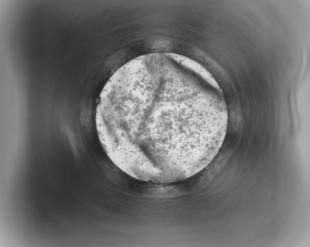 X0000100930379200807221142