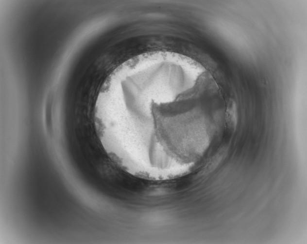 X0000100930381200807221142