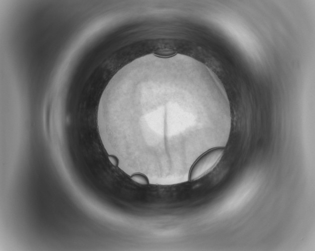 X0000100930383200807221142