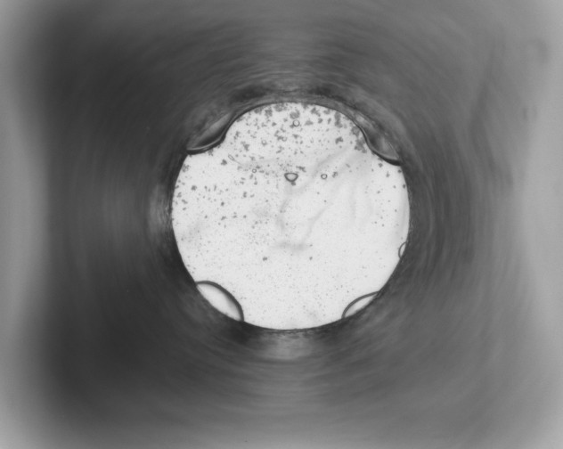 X0000100930384200807221142