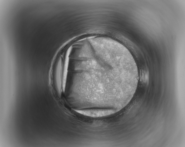 X0000100930388200807221141