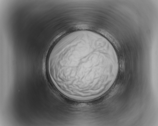 X0000100930390200807221141