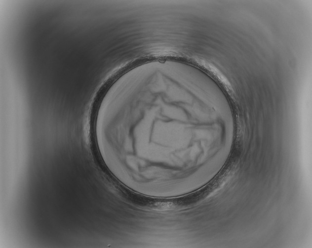 X0000100930391200807221141