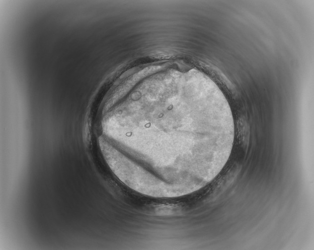 X0000100930400200807221141