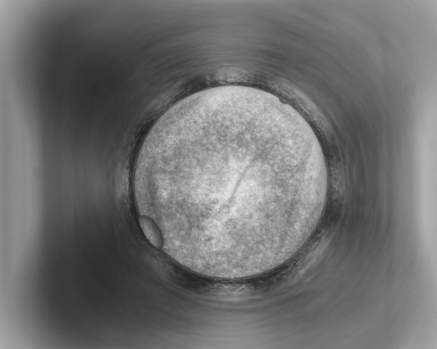 X0000100930401200807221141