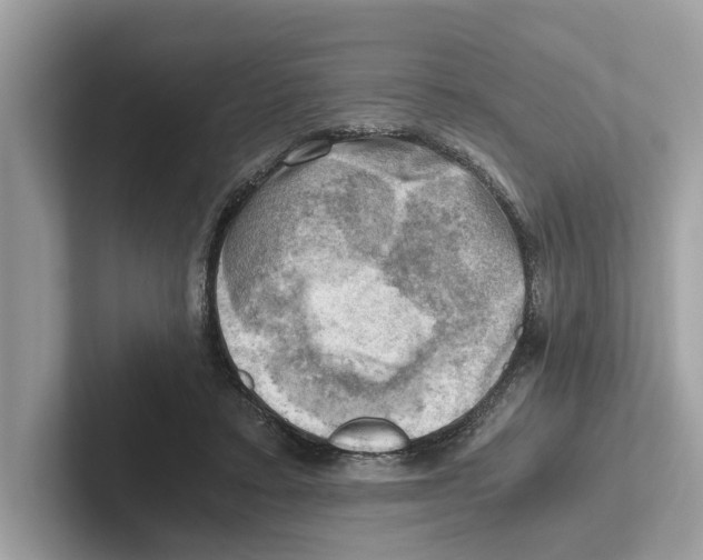 X0000100930403200807221141