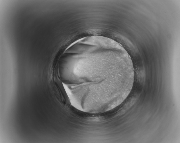 X0000100930404200807221141