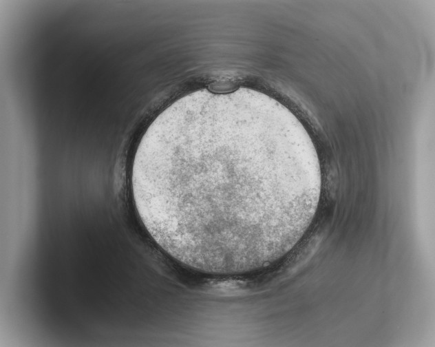 X0000100930407200807221141