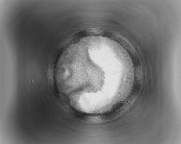 X0000100930409200807221141