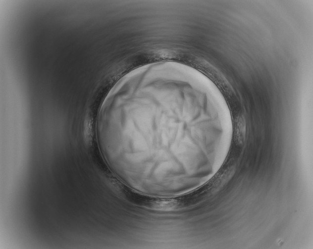 X0000100930410200807221141