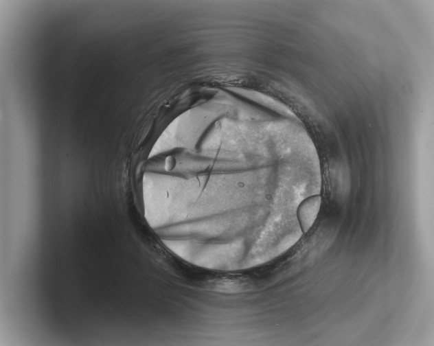 X0000100930412200807221141