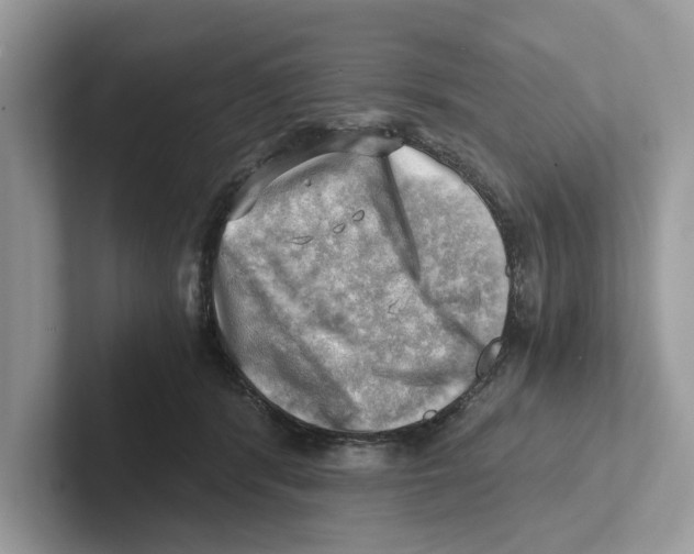 X0000100930416200807221141